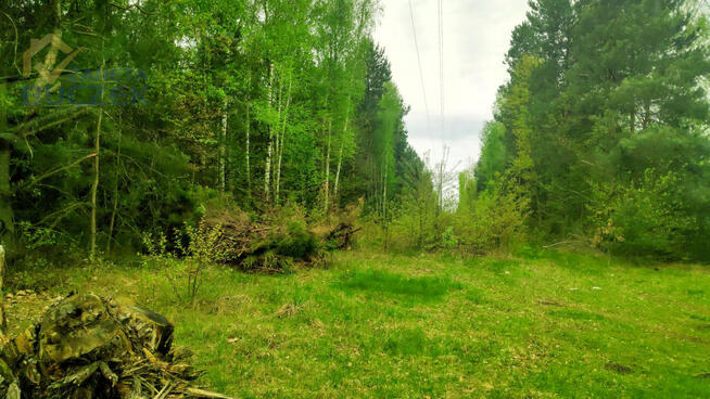 Działka rolna Juliopol gm. Młodzieszyn,