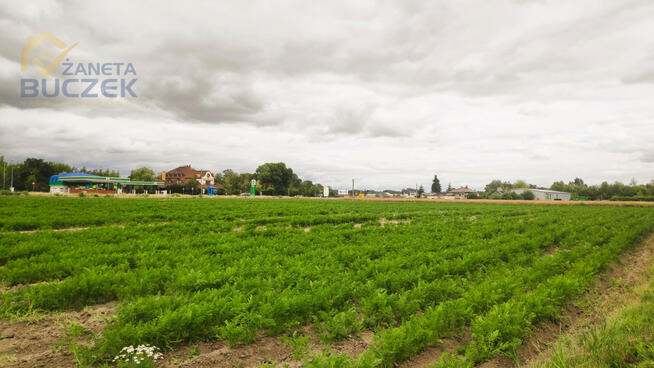 Działka usługowa Marysinek gm. Błonie,