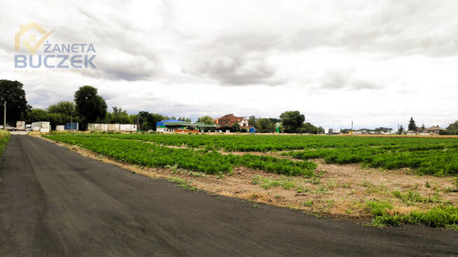 Działka usługowa Marysinek gm. Błonie,