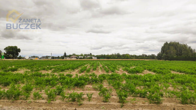 Działka usługowa Marysinek gm. Błonie,