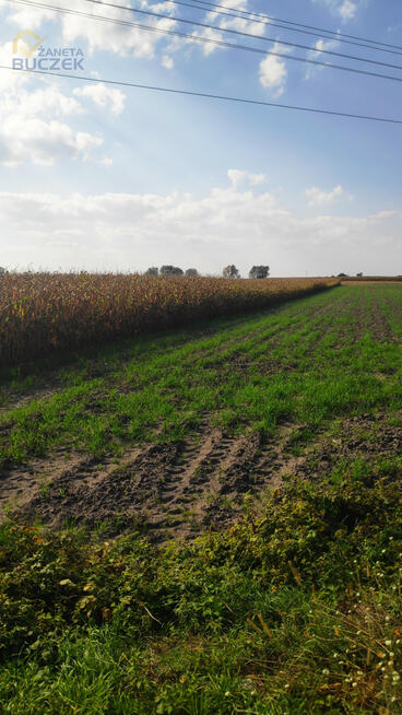 Działka budowlana Juliopol gm. Młodzieszyn,