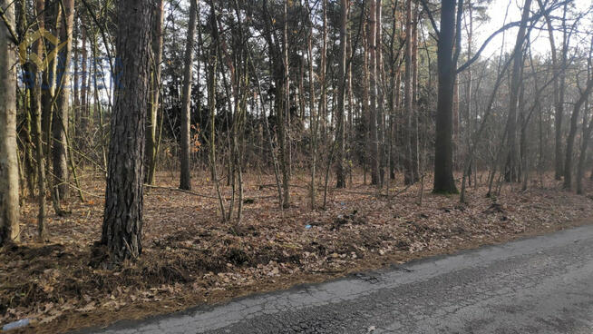 Działka inwestycyjna Kuznocin gm. Sochaczew,