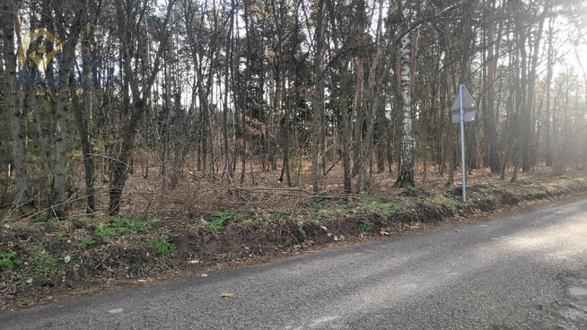 Działka inwestycyjna Kuznocin gm. Sochaczew,