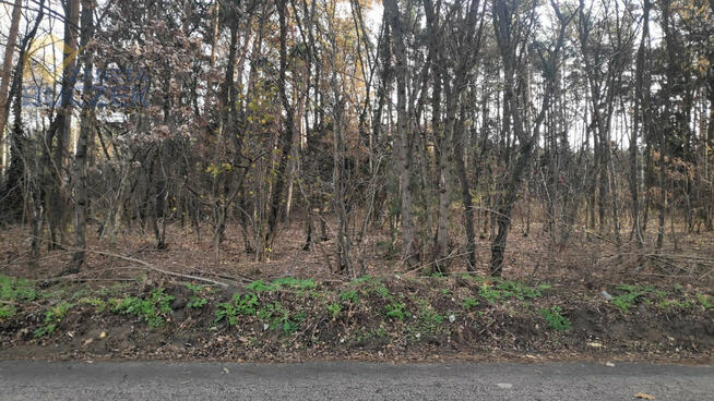 Działka inwestycyjna Kuznocin gm. Sochaczew,