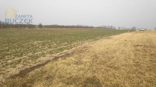 Działka budowlana Strzyżew gm. Kampinos,