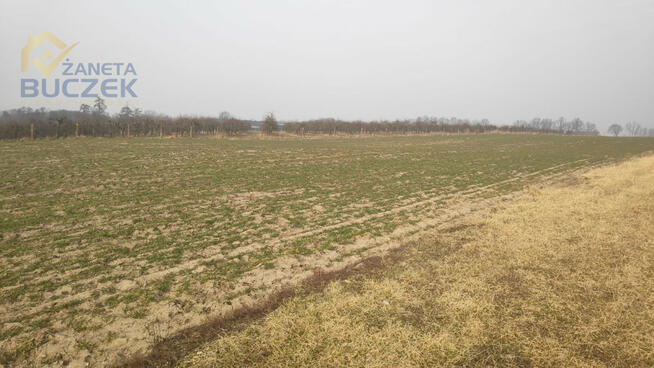 Działka budowlana Strzyżew gm. Kampinos,