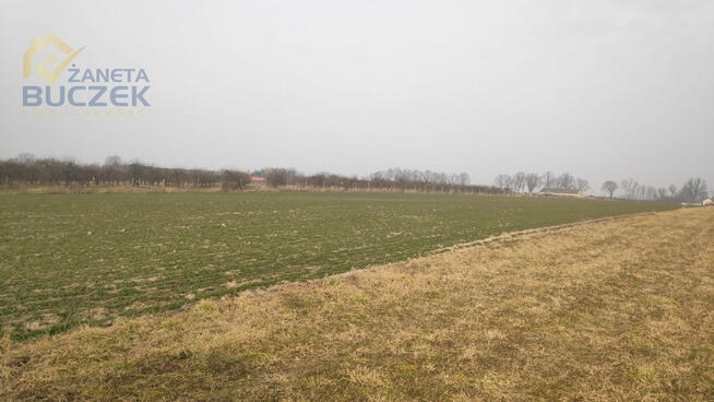 Działka budowlana Strzyżew gm. Kampinos,