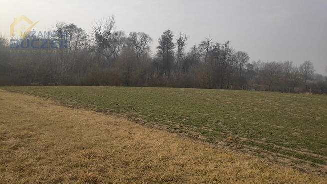 Działka budowlana Strzyżew gm. Kampinos,