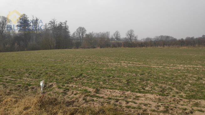 Działka budowlana Strzyżew gm. Kampinos,