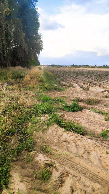 Działka inwestycyjna Walentów gm. Leszno,