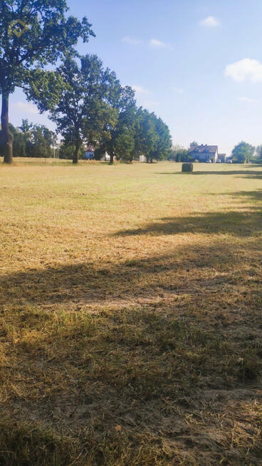 Działka budowlana Lasocin gm. Brochów,