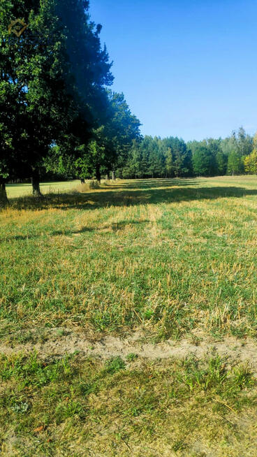 Działka budowlana Lasocin gm. Brochów,