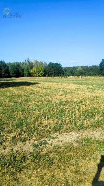 Działka budowlana Lasocin gm. Brochów,