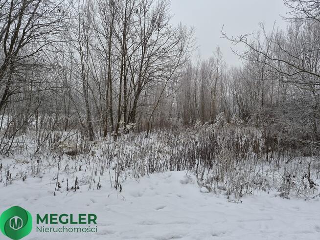 Rusiec - działka niedaleko lasu