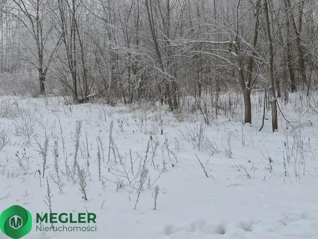 Rusiec - działka niedaleko lasu
