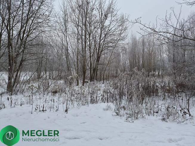 Rusiec - działka niedaleko lasu