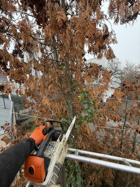 Usługi rębak do gałęzi, wycinka drzew alpinistyczne z podnoś