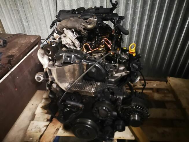 3 Wraki - Renault Master i Peugeot Boxer