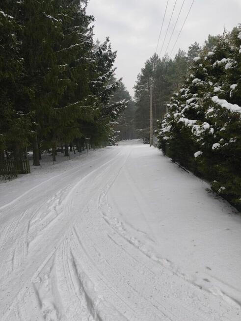 dom z kominkiem w lesie na odludziu, ferie,ognisko