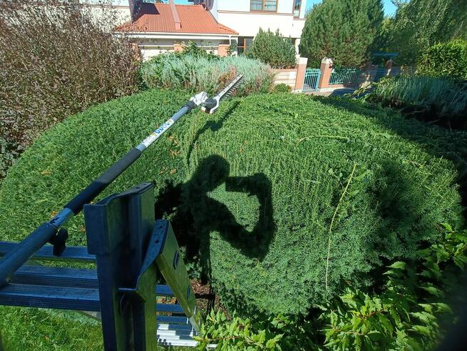 Ogrody, ogrodzenia, remonty, kostka brukowa,