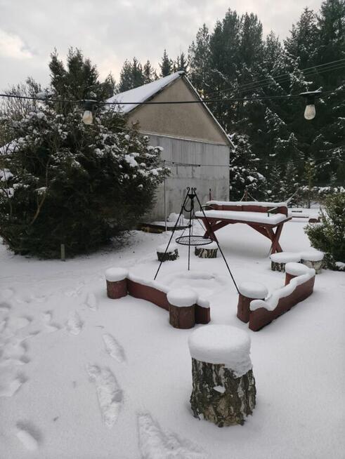 dom z kominkiem w lesie na odludziu, ferie,ognisko