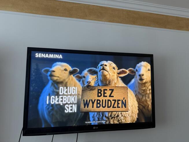 Sprzedam telewizor LG 50 cali full HD plazma