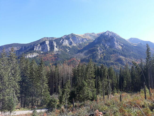 Przyjaciel pozna Przyjaciółkę