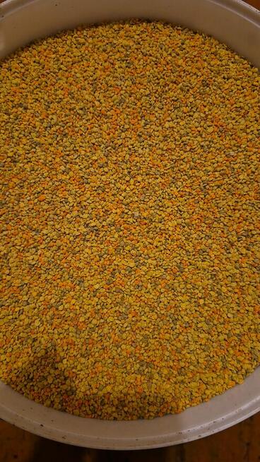 Sprzedam propolis, miod, pierzga