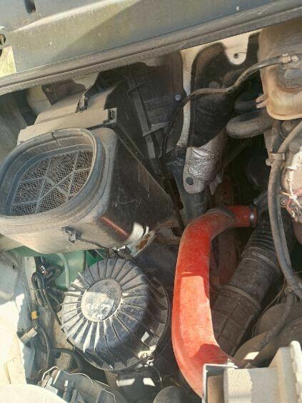 iveco dayli 35,chłodnia