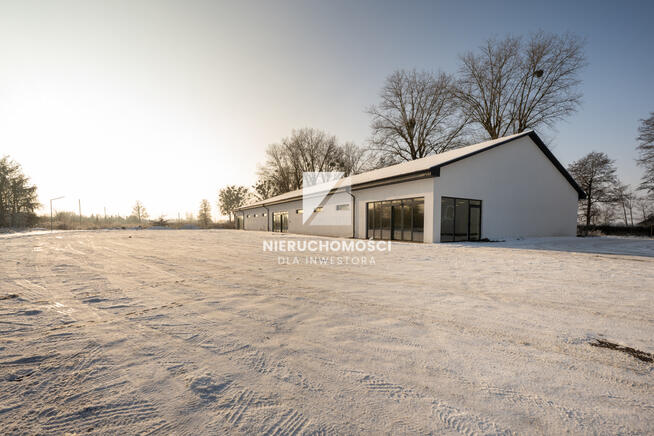 Supermarket, Dyskont przy zjeździe S3, 280-980 mkw