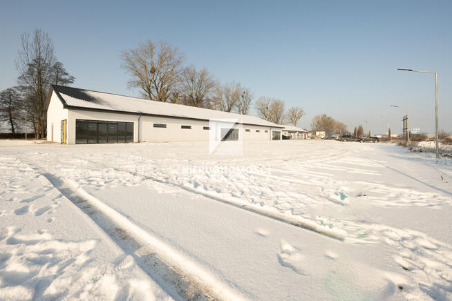 Supermarket, Dyskont przy zjeździe S3, 280-980 mkw