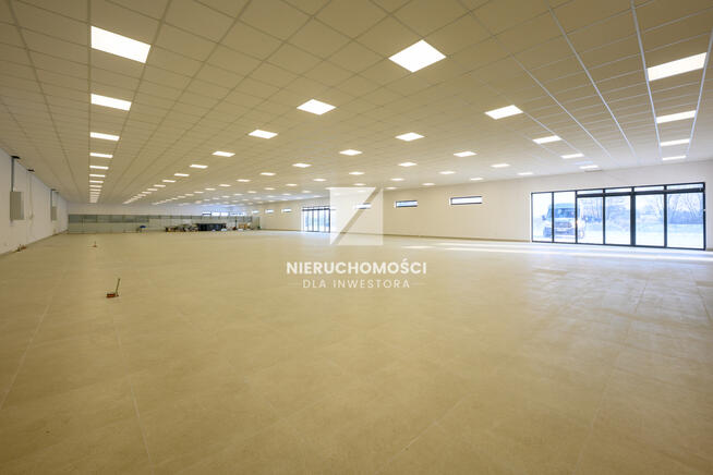 Supermarket, Dyskont przy zjeździe S3, 280-980 mkw