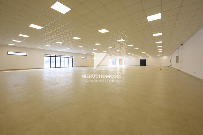 Supermarket, Dyskont przy zjeździe S3, 280-980 mkw