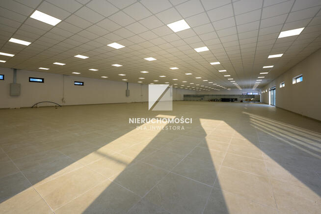 Supermarket, Dyskont przy zjeździe S3, 280-980 mkw