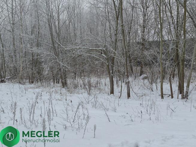 Rusiec - działka niedaleko lasu