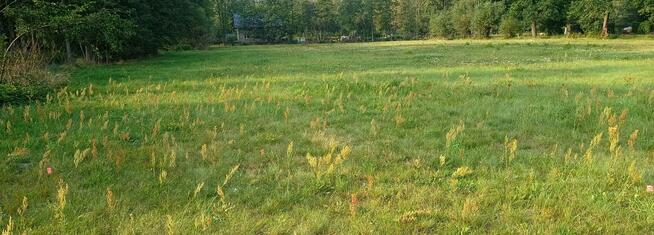 Działki budowlane Czubajowizna k. Wołomina, bezpośrednio