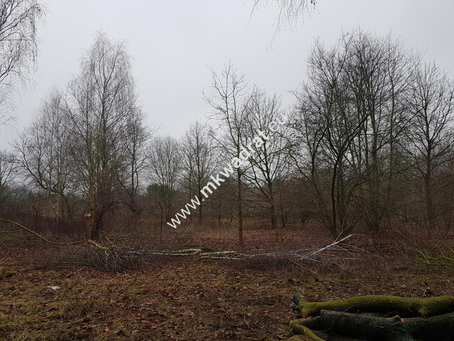 DZIAŁKA PRZY ZALEWIE KOMOROWSKIM