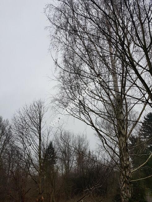 DZIAŁKA PRZY ZALEWIE KOMOROWSKIM