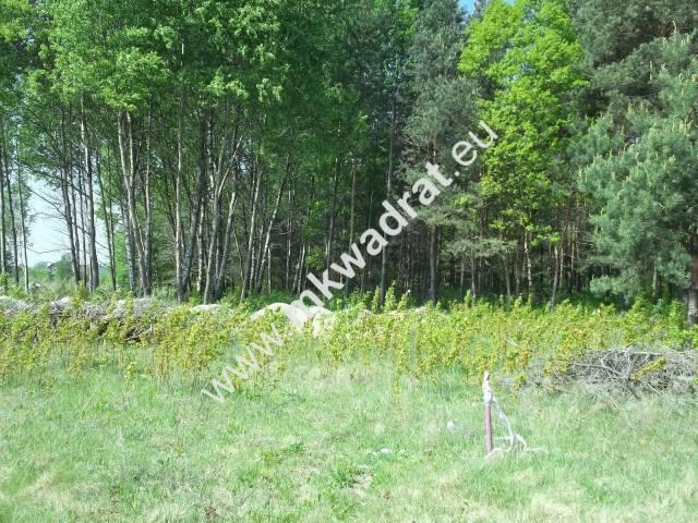 działka w otulinie lasu z pozwoleniem na budowę
