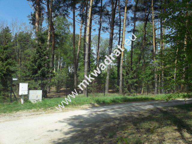 działka w otulinie lasu z pozwoleniem na budowę