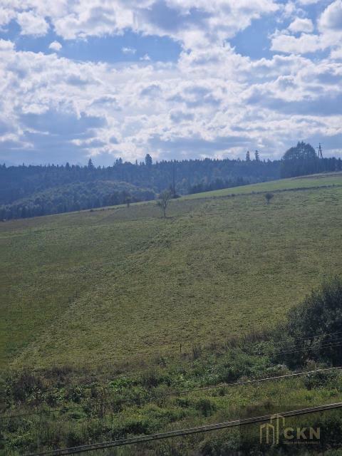 Działka inwestycyjna Falsztyn gm. Łapsze Niżne, Królowej Polski