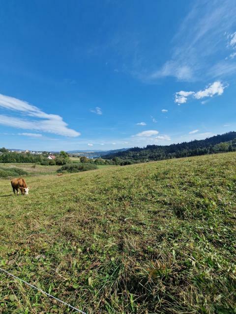 Działka inwestycyjna Falsztyn gm. Łapsze Niżne, Królowej Polski