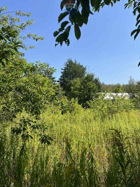 Działka (jeszcze) rolna przy rezerwacie