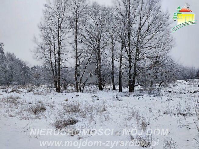 Działka budowlana Żyrardów