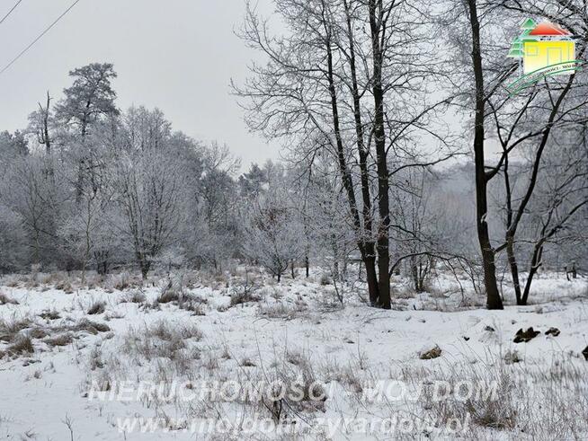 Działka budowlana Żyrardów