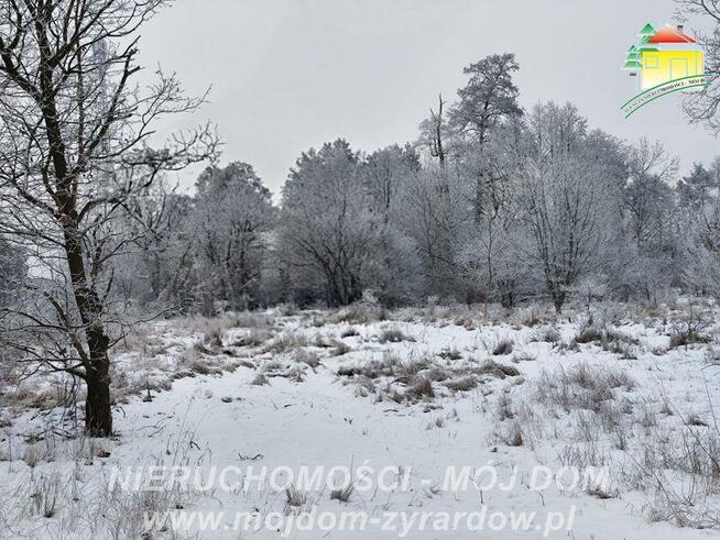 Działka budowlana Żyrardów