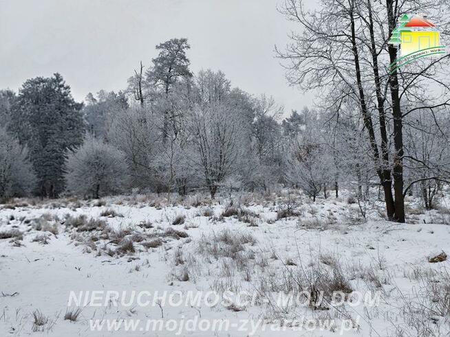 Działka budowlana gm. Żyrardów