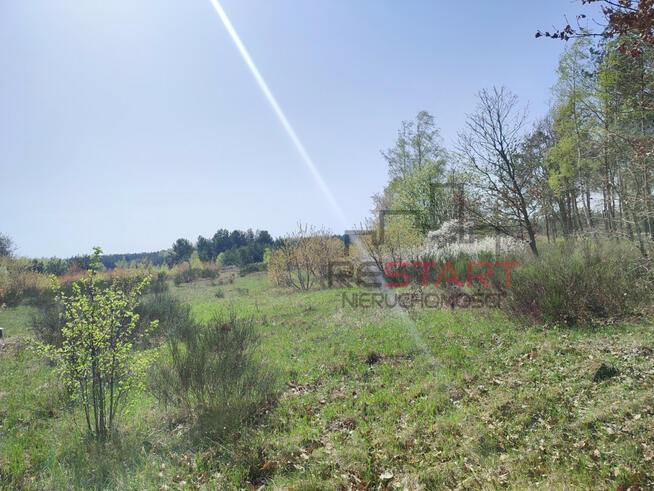 Działka inwestycyjna Piotrkowice gm. Żabia Wola,