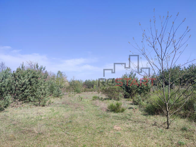 Działka inwestycyjna Piotrkowice gm. Żabia Wola,