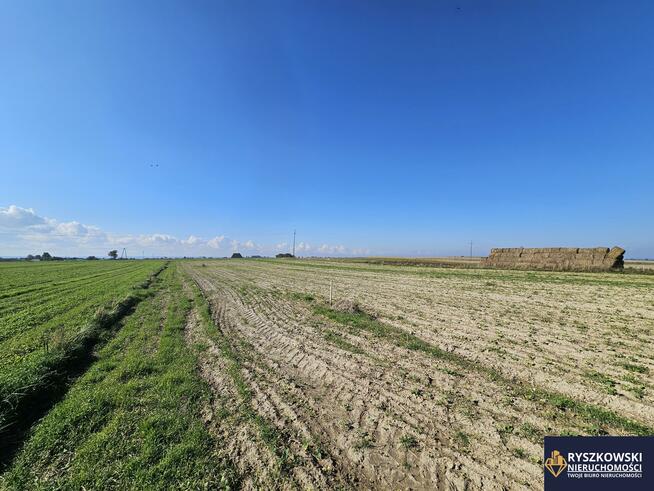 Działka rolno-budowlana Siedliska Kolonia gm. Zamość